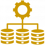 CMS Development