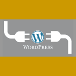 Preventing Plugin Chaos
